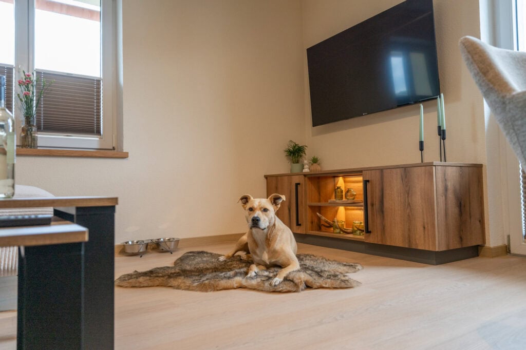 Ferienwohnung in Ehrwald mit Hund